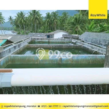 Lahan Strategis di Rajabasa Dijual dengan Luas 8180m2 Lahan Strategis di Rajabasa Dijual dengan Luas 8180m2