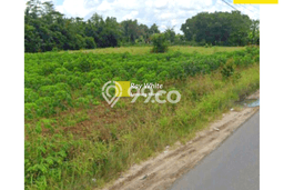 Kavling Tanah Dijual di Gunung Sugih Lampung Tengah Spesifikasi 3879m2 Kavling Tanah Dijual di Gunung Sugih Lampung Tengah Spesifikasi 3879m2
