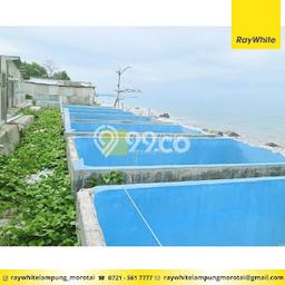 Tanah Kosong Dijual di Lampung Selatan dengan Area 8180m2 Tanah Kosong Dijual di Lampung Selatan dengan Area 8180m2