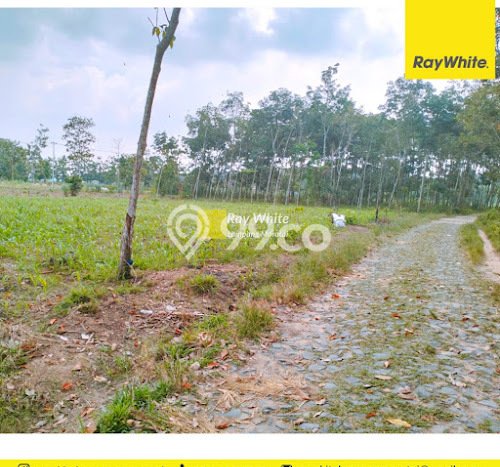 Lahan Kosong Dijual di Lampung Selatan dengan Area 8888m2 Lahan Kosong Dijual di Lampung Selatan dengan Area 8888m2