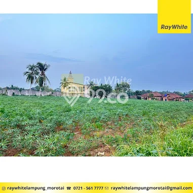 Tanah Dijual Lokasi Gunung Sugih, Lampung Tengah Luas 10250m2 Legalitas Aman Tanah Dijual Lokasi Gunung Sugih, Lampung Tengah Luas 10250m2 Legalitas Aman