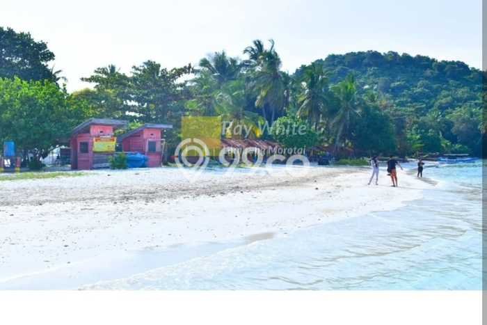 Tanah Dijual Lokasi Padang Cermin, Pesawaran dengan Luas Tanah 115m2 dan Status SHM Tanah Dijual Lokasi Padang Cermin, Pesawaran dengan Luas Tanah 115m2 dan Status SHM