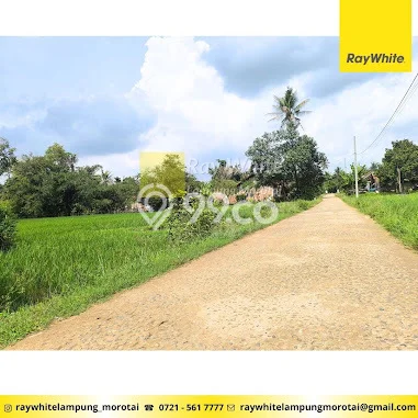 Tanah untuk Dijual di Natar Lampung Selatan Luas 622m2 Tanah untuk Dijual di Natar Lampung Selatan Luas 622m2
