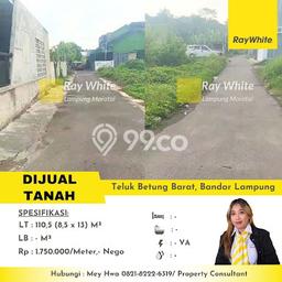 Kavling Tanah di Teluk Betung Barat Dijual Luas 110m2 Legalitas SHM Kavling Tanah di Teluk Betung Barat Dijual Luas 110m2 Legalitas SHM