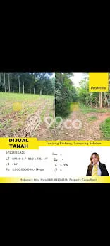 Lahan untuk Dijual di Tanjung Bintang Lampung Selatan Luas 29130m2 Lahan untuk Dijual di Tanjung Bintang Lampung Selatan Luas 29130m2