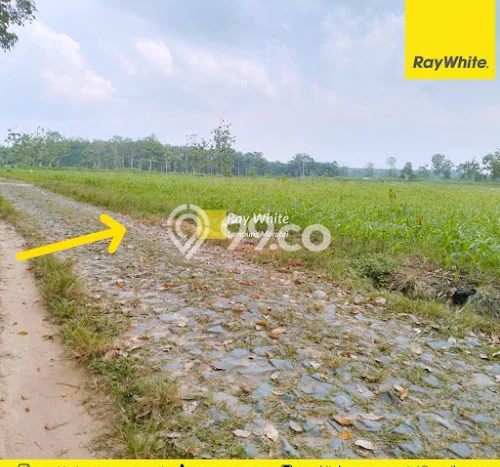 Lahan Kosong Dijual di Lampung Selatan dengan Area 8888m2 Lahan Kosong Dijual di Lampung Selatan dengan Area 8888m2