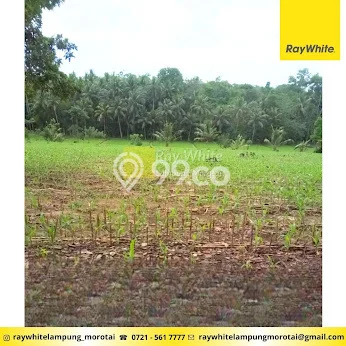 Lahan untuk Dijual di Tanjung Bintang Lampung Selatan Luas 29130m2 Lahan untuk Dijual di Tanjung Bintang Lampung Selatan Luas 29130m2