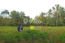 Dijual Cepat Rumah Favorit Siap Huni LB 0m2 di Way Halim, Bandar Lampung Dijual Cepat Rumah Favorit Siap Huni LB 0m2 di Way Halim, Bandar Lampung