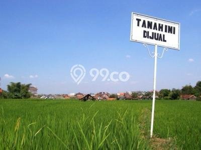 Tanah di Pujon, Malang Luas 13340m2 Dijual Segera Tanah di Pujon, Malang Luas 13340m2 Dijual Segera