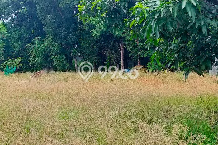 Untuk Dijual Tanah 4528m2 di Pati Kota, Pati Untuk Dijual Tanah 4528m2 di Pati Kota, Pati