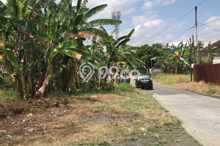 Dijual Tanah 450m2 di Manyaran, Semarang Dijual Tanah 450m2 di Manyaran, Semarang