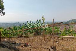 Tanah Dijual Area Strategis di Bukit Sari Semarang 1664m2 Tanah Dijual Area Strategis di Bukit Sari Semarang 1664m2