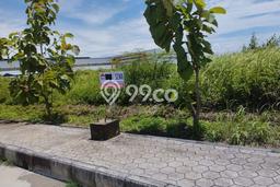 Tanah Dijual Lokasi Sayung, Demak Luas 24999m2 Legalitas Aman Tanah Dijual Lokasi Sayung, Demak Luas 24999m2 Legalitas Aman