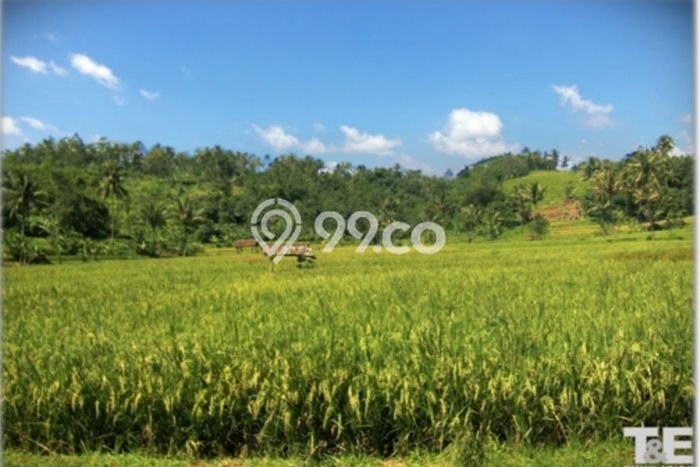 Tanah Siap Bangun Dijual di Subang Punya Luas 150000m2 Tanah Siap Bangun Dijual di Subang Punya Luas 150000m2
