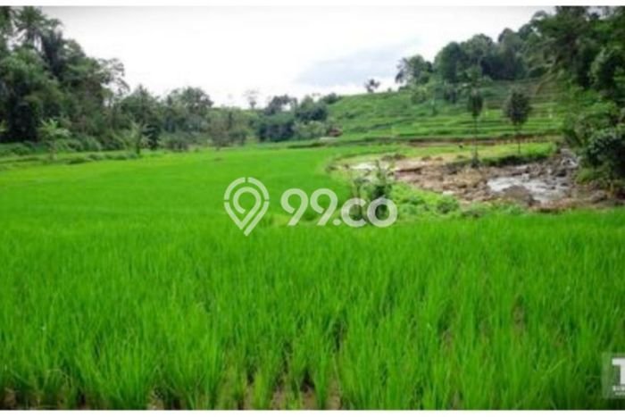 Tanah Siap Bangun Dijual di Subang Punya Luas 150000m2 Tanah Siap Bangun Dijual di Subang Punya Luas 150000m2
