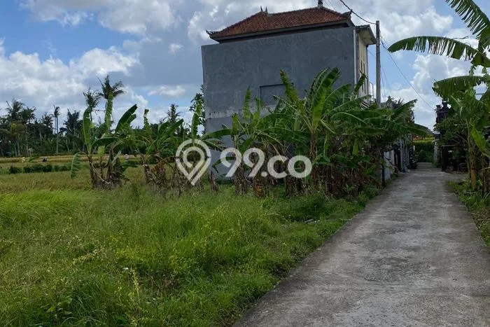 Untuk Dijual Tanah di Sukawati Gianyar Luas 175m2 SHM Untuk Dijual Tanah di Sukawati Gianyar Luas 175m2 SHM