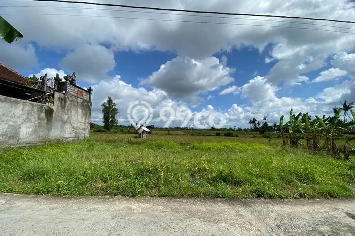 Untuk Dijual Tanah di Sukawati Gianyar Luas 175m2 SHM Untuk Dijual Tanah di Sukawati Gianyar Luas 175m2 SHM