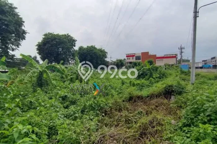 Tanah di Gempol, Pasuruan Luas 3202m2 Dijual Segera Tanah di Gempol, Pasuruan Luas 3202m2 Dijual Segera