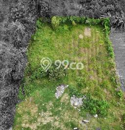 Kavling Tanah di Wagir Dijual Luas 1339m2 Legalitas SHM Kavling Tanah di Wagir Dijual Luas 1339m2 Legalitas SHM