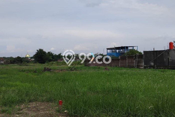 Dijual Tanah di Bangil Pasuruan Luas 18000m2 SHM Dijual Tanah di Bangil Pasuruan Luas 18000m2 SHM