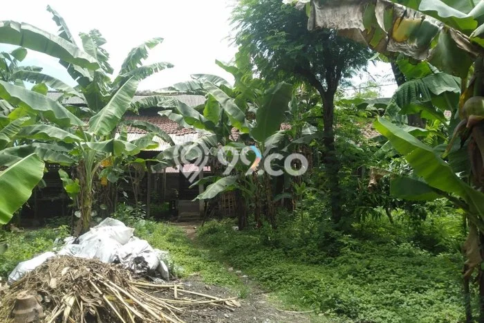 Tanah Kavling Dijual di Jogoroto, Jombang dengan Luas Tanah 3081m2 Tanah Kavling Dijual di Jogoroto, Jombang dengan Luas Tanah 3081m2