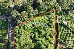 Lahan untuk Dijual di Wagir Malang Luas 3025m2 Lahan untuk Dijual di Wagir Malang Luas 3025m2
