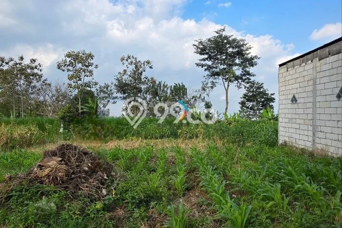 Tanah Kavling di Batu Dijual dengan Luas 140m2 Tanah Kavling di Batu Dijual dengan Luas 140m2
