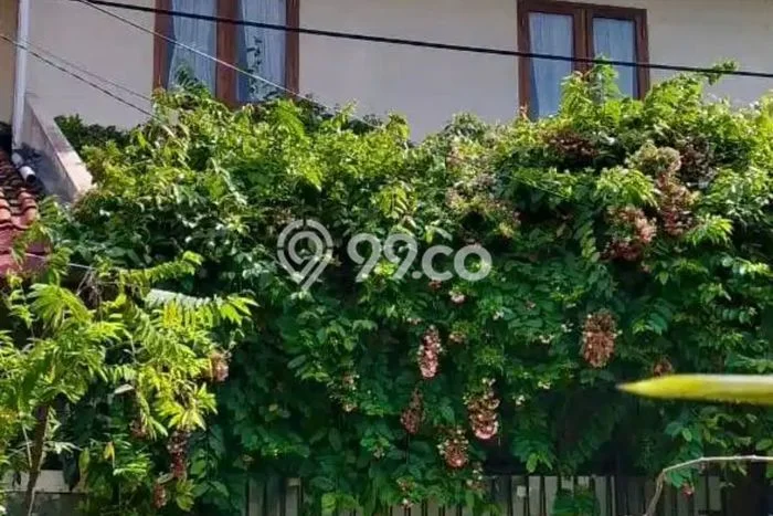 Dijual Cepat Rumah Bagus Siap Huni LB 110m2 di Ciputat, Tangerang Selatan Dijual Cepat Rumah Bagus Siap Huni LB 110m2 di Ciputat, Tangerang Selatan