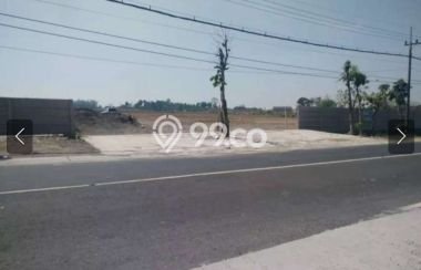 Tanah Dijual Lokasi Manyar, Gresik Luas 125000m2 Legalitas Aman Tanah Dijual Lokasi Manyar, Gresik Luas 125000m2 Legalitas Aman