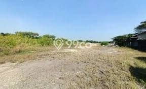 Tanah Dijual Lokasi Manyar, Gresik Luas 125000m2 Legalitas Aman Tanah Dijual Lokasi Manyar, Gresik Luas 125000m2 Legalitas Aman