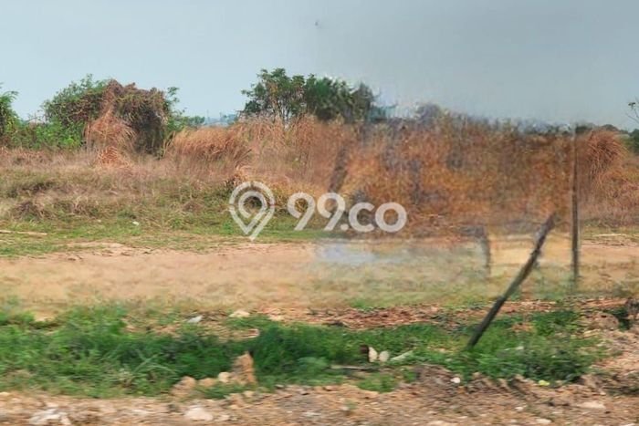 Kavling Tanah di Wringinanom Dijual Luas 21739m2 Legalitas - Kavling Tanah di Wringinanom Dijual Luas 21739m2 Legalitas -