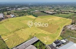 Tanah Kavling untuk Dijual di Purwosari Pasuruan 135000m2 Tanah Kavling untuk Dijual di Purwosari Pasuruan 135000m2
