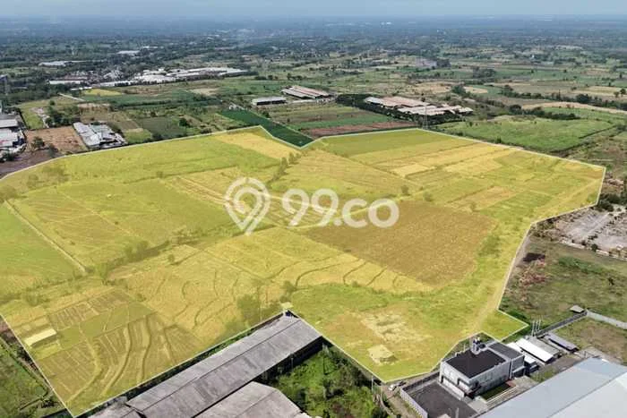 Kavling Tanah Dijual di Grati Pasuruan Spesifikasi 142500m2 Kavling Tanah Dijual di Grati Pasuruan Spesifikasi 142500m2