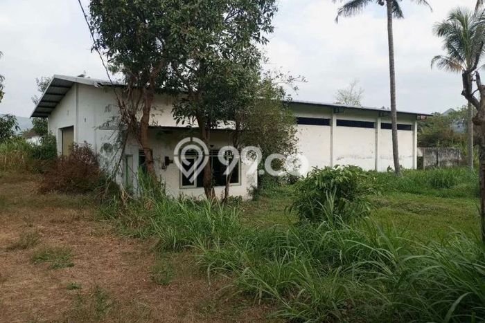 Tanah Bisnis Kawasan Purwodadi, Luas 4815m2m², Akses Mudah Tanah Bisnis Kawasan Purwodadi, Luas 4815m2m², Akses Mudah