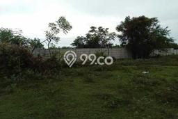 Kavling Tanah di Jenu Dijual Luas 20000m2 Legalitas SHM Kavling Tanah di Jenu Dijual Luas 20000m2 Legalitas SHM