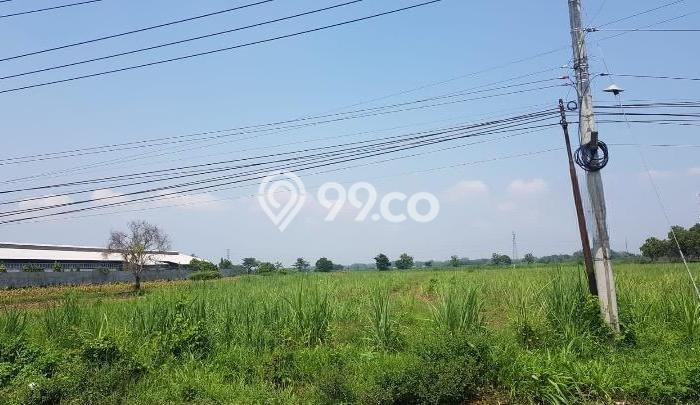 Tanah Area Prospektif Kawasan Mojoagung, Luas 17500m2m², Akses ke Pusat Kota, Lingkungan Nyaman Tanah Area Prospektif Kawasan Mojoagung, Luas 17500m2m², Akses ke Pusat Kota, Lingkungan Nyaman