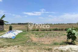 Tanah Komersial Dijual di Soko Tuban 10000m2 Tanah Komersial Dijual di Soko Tuban 10000m2