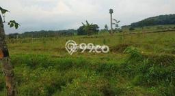 Tanah Kosong Dijual di Lamongan dengan Area 90000m2 Tanah Kosong Dijual di Lamongan dengan Area 90000m2