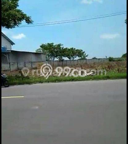 Tanah untuk Dijual di Widang Tuban Luas 40000m2 Tanah untuk Dijual di Widang Tuban Luas 40000m2