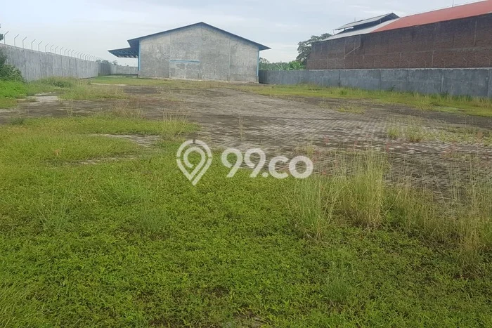 Untuk Dijual Gudang di Prambon, Sidoarjo Harga Penawaran Spesial Untuk Dijual Gudang di Prambon, Sidoarjo Harga Penawaran Spesial