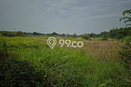Lahan Sewa di Prambon Sidoarjo dengan Luas 30000m2 Lahan Sewa di Prambon Sidoarjo dengan Luas 30000m2