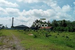 Lahan untuk Dijual di Puger Jember Luas 34000m2 Lahan untuk Dijual di Puger Jember Luas 34000m2