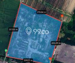 Kavling Tanah Disewakan di Sidoarjo Sidoarjo Luas 47000m2 Strategis Kavling Tanah Disewakan di Sidoarjo Sidoarjo Luas 47000m2 Strategis