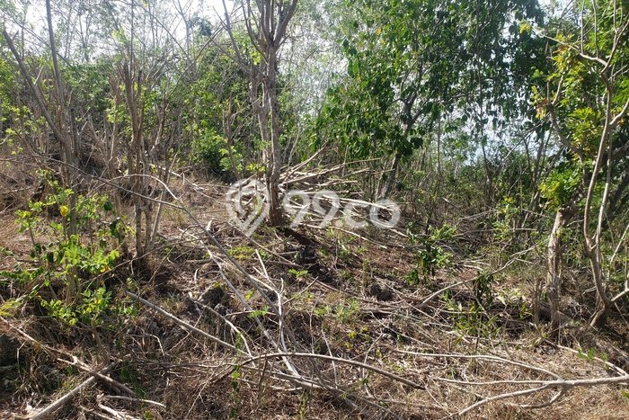 Land Rental Tanah Kawasan Pecatu, Luas 34m², Lokasi Potensial Land Rental Tanah Kawasan Pecatu, Luas 34m², Lokasi Potensial