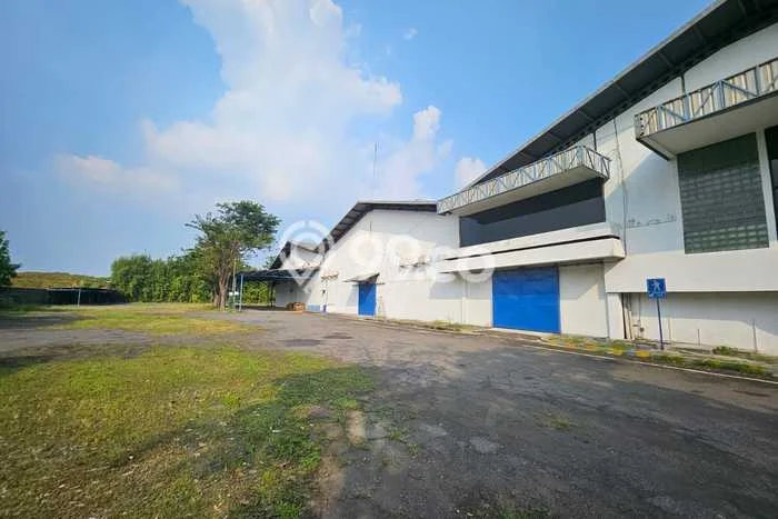 Unit Gudang Disewa Lokasi Driyorejo, Gresik Spesifikasi Luas Bangunan 2552m2 Unit Gudang Disewa Lokasi Driyorejo, Gresik Spesifikasi Luas Bangunan 2552m2