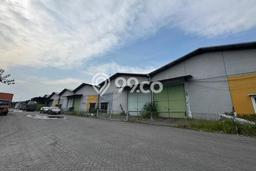 Gudang Disewa di Driyorejo, Gresik, LT 925m2 / LB 820m2 Gudang Disewa di Driyorejo, Gresik, LT 925m2 / LB 820m2