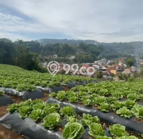 Tanah Kavling Dijual di Bandung dengan Spesifikasi 6000m2 Tanah Kavling Dijual di Bandung dengan Spesifikasi 6000m2