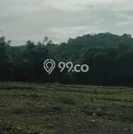 Kavling Tanah Dijual di Cibadak, Sukabumi, Luas 5000m2 Area Strategis Kavling Tanah Dijual di Cibadak, Sukabumi, Luas 5000m2 Area Strategis