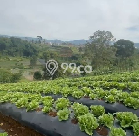 Tanah Kavling Dijual di Bandung dengan Spesifikasi 6000m2 Tanah Kavling Dijual di Bandung dengan Spesifikasi 6000m2
