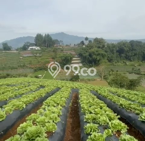 Tanah Kavling Dijual di Bandung dengan Spesifikasi 6000m2 Tanah Kavling Dijual di Bandung dengan Spesifikasi 6000m2